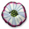 Hamilton Knap Bellis 16 mm